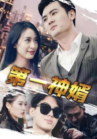 短剧第一神婿海报