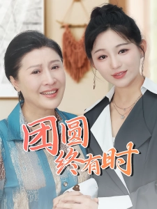 短剧团圆终有时海报