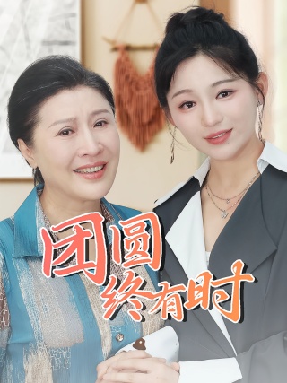 短剧团圆终有时海报