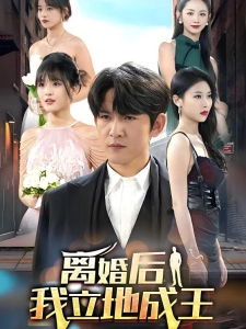 短剧离婚后我立地成王海报