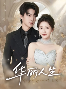 短剧华丽人生海报