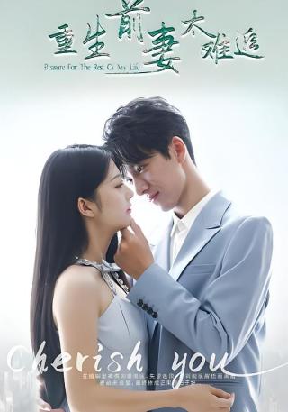 短剧重生前妻太难追海报