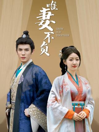 短剧唯妻不负海报