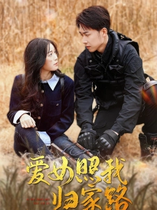 短剧爱女照我归家路海报