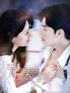 短剧完美纠葛海报