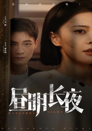 短剧昼明长夜海报