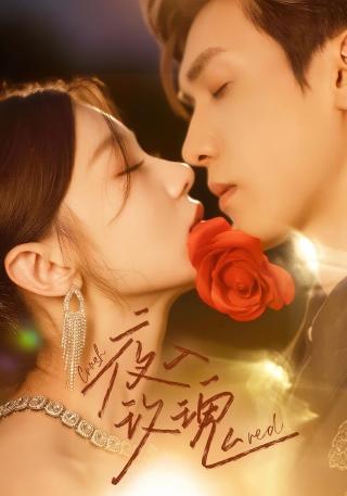 短剧入夜玫瑰海报