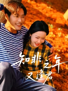 短剧知非之年又逢君海报