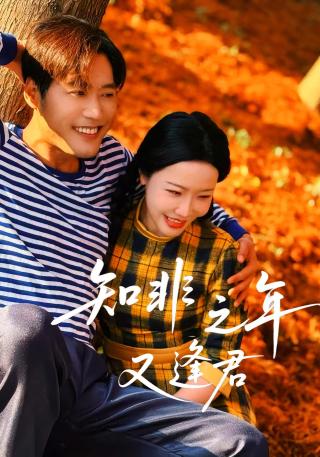 短剧知非之年又逢君海报