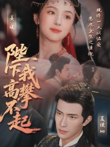 短剧陛下我高攀不起海报