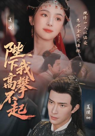 短剧陛下我高攀不起海报