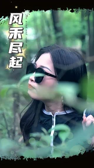 短剧风禾尽起海报