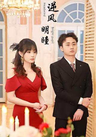 短剧逆风明瞳海报