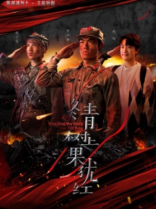 短剧冬青树上果犹红海报