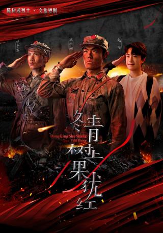 短剧冬青树上果犹红海报