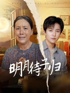 短剧明月待子归海报