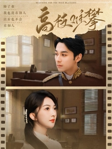 短剧高枝难攀海报