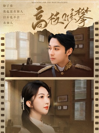 短剧高枝难攀海报