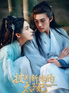 短剧披荆斩棘的太子妃海报