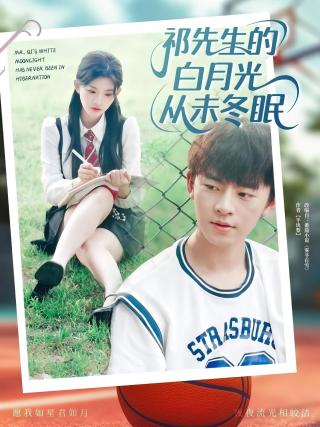 短剧祁先生的白月光从未冬眠海报