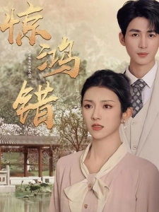 短剧惊鸿错海报