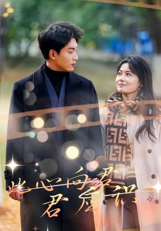 短剧此心向君君应识海报
