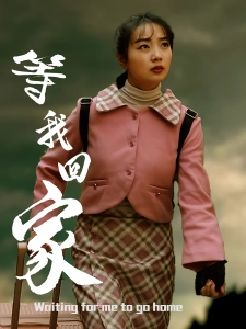 短剧等我回家海报
