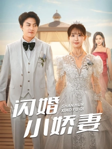 短剧闪婚小娇妻海报