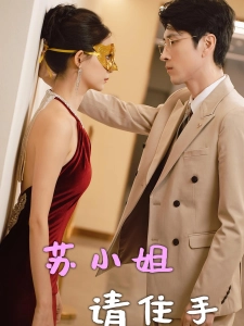 短剧苏小姐请住手海报