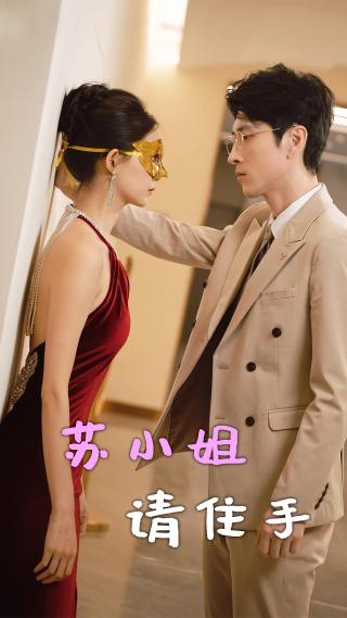 短剧苏小姐请住手海报