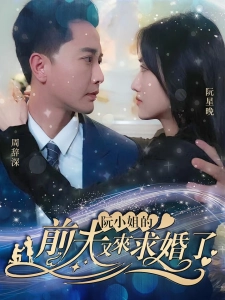 短剧阮小姐的前夫又来求婚了海报