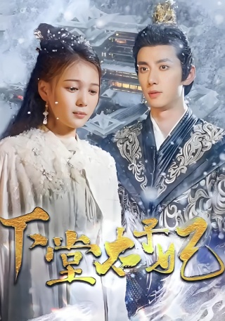 短剧下堂太子妃海报