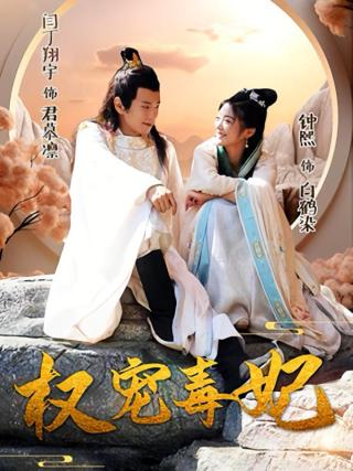 短剧权宠毒妃海报