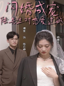 短剧闪婚成宠，陆先生对恋爱过敏海报
