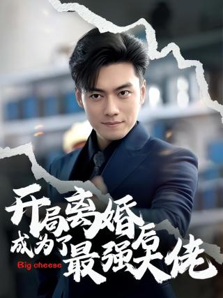 短剧开局离婚后成为了最强大佬海报