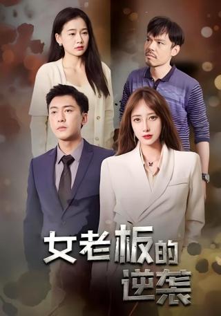 短剧女老板的逆袭海报