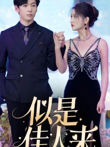短剧似是佳人来海报