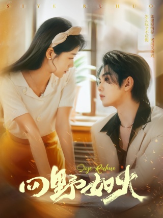 短剧四野如火海报