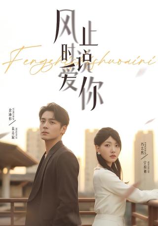 短剧风止时说爱你海报