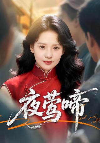 短剧夜莺啼海报