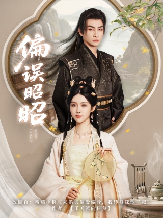 短剧偏误昭昭海报