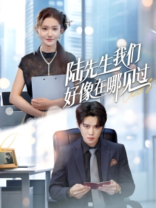 短剧陆先生我们好像在哪见过海报