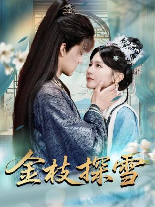 短剧金枝探雪海报