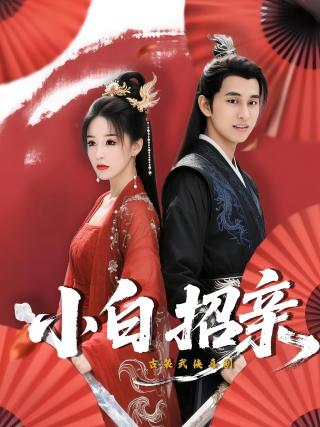 短剧小白招亲海报