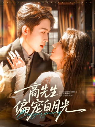 短剧商先生偏宠白月光海报