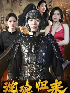 短剧沈浪归来海报