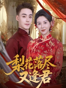 短剧梨花落尽又逢君海报