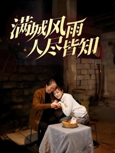 短剧满城风雨人尽皆知海报