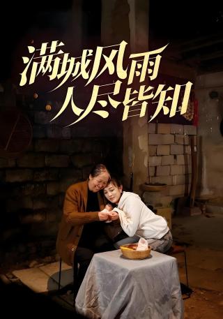 短剧满城风雨人尽皆知海报