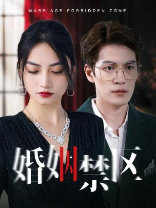 短剧婚姻禁区海报